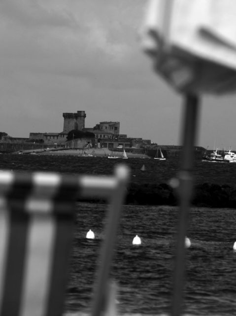 D7070005nb.JPG